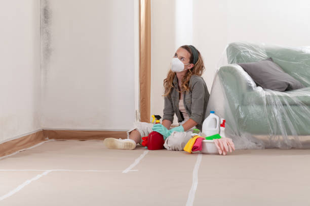 Reliable Mold Remediation contractor in Schiller Park, IL by WQB Mold Removal